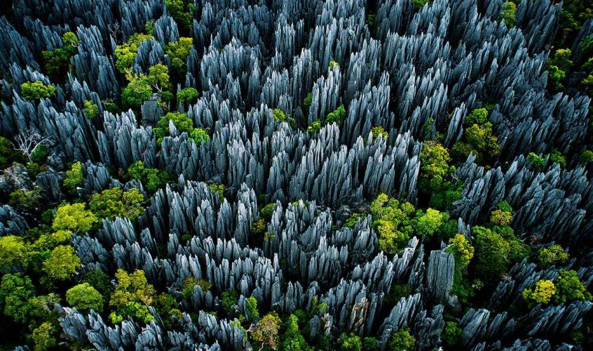 Tsingy de Bemaraha ( large tsingy)